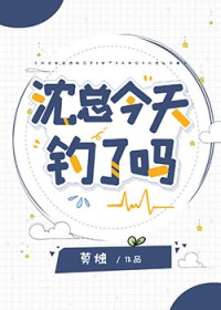 ���ܽ��������