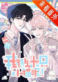 不是社畜,是猫猫