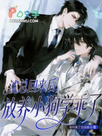 沈总回来后,放养小狗学乖了