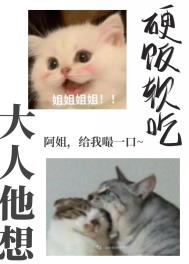 ��������Ӳ������