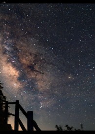 ����������������(NP)