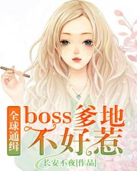 全球通缉:boss爹地不好惹