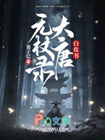 白皮书:大唐无杖录