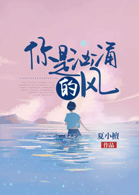 ������ӿ�ķ�