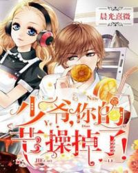 少爷,你的节操掉了!