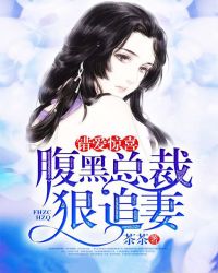 错爱惊喜:腹黑总裁狠追妻