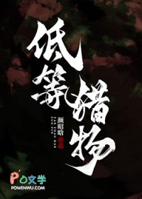 �͵�����