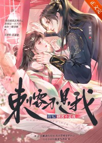 将军!刺客不是我